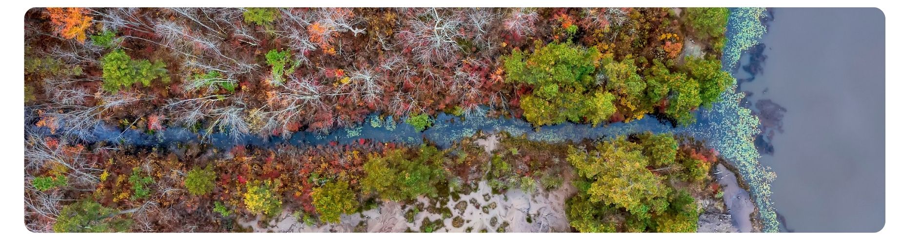 aerial view of lake