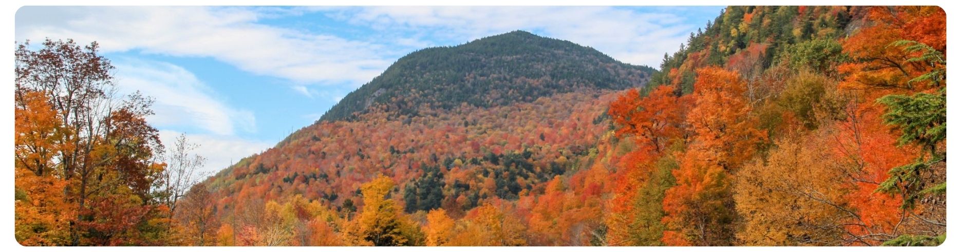 mountain in fall