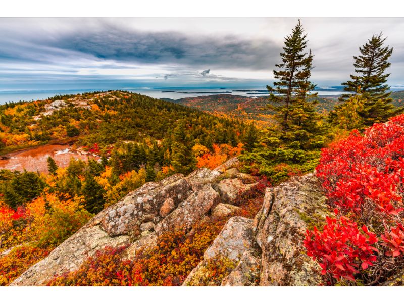 mountain foliage