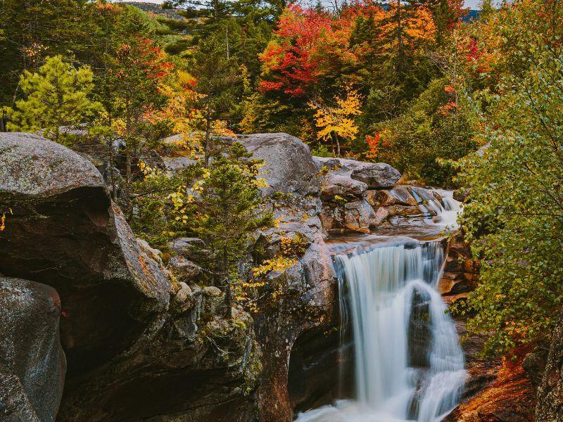 waterfall among mountain foliage