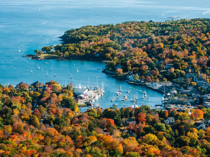 aerial view of harbor