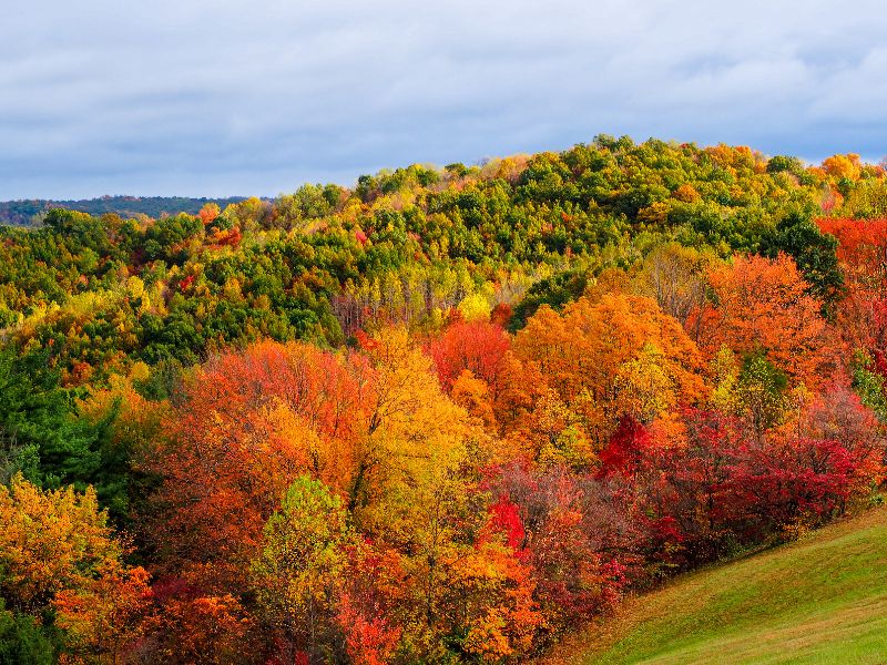 Fall colors in Hocking Hills Ohio