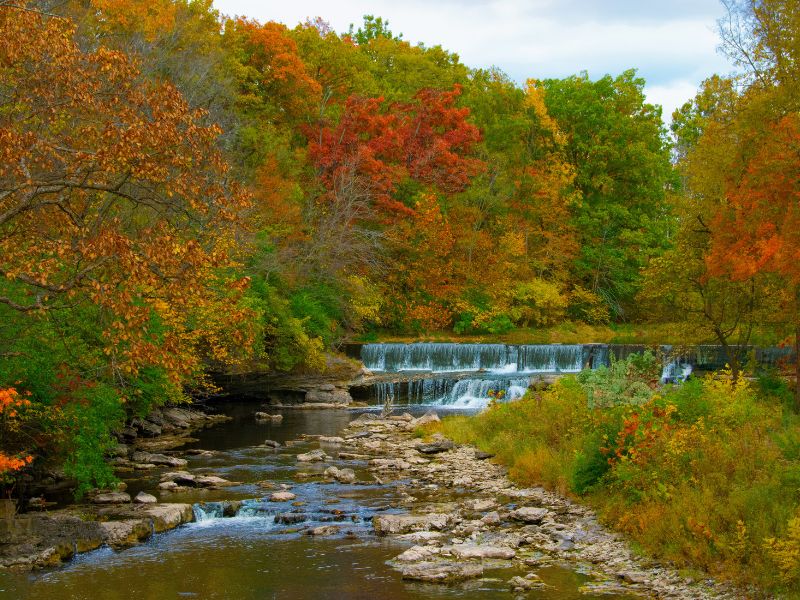 water fall with trees surrounding