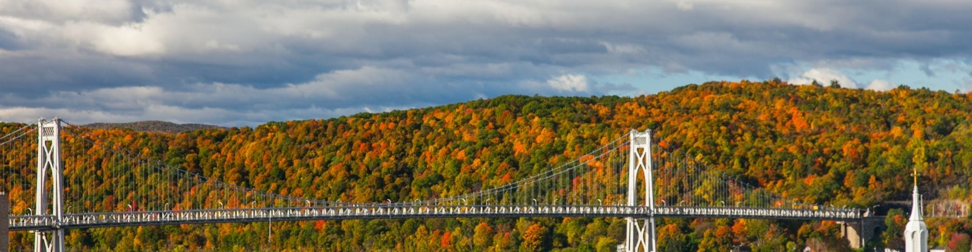 Bridge among foliage