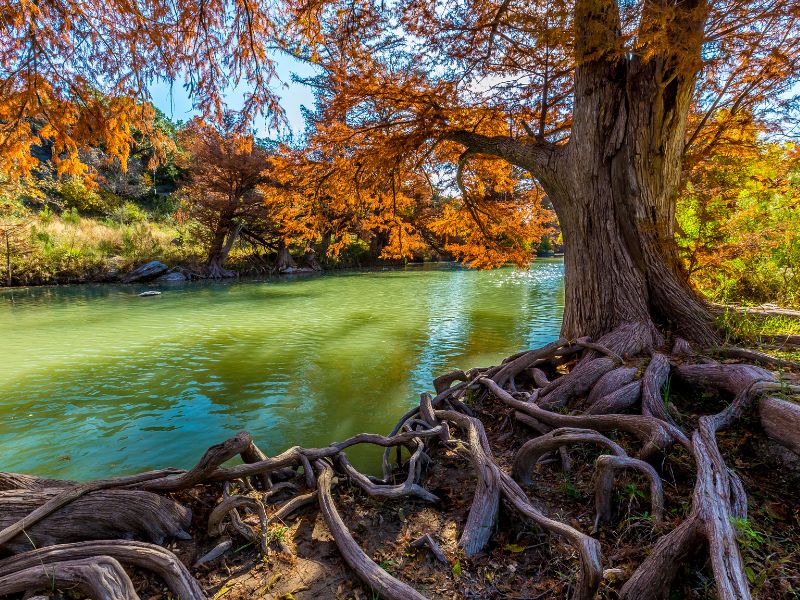 Fall Foliage surrounding river