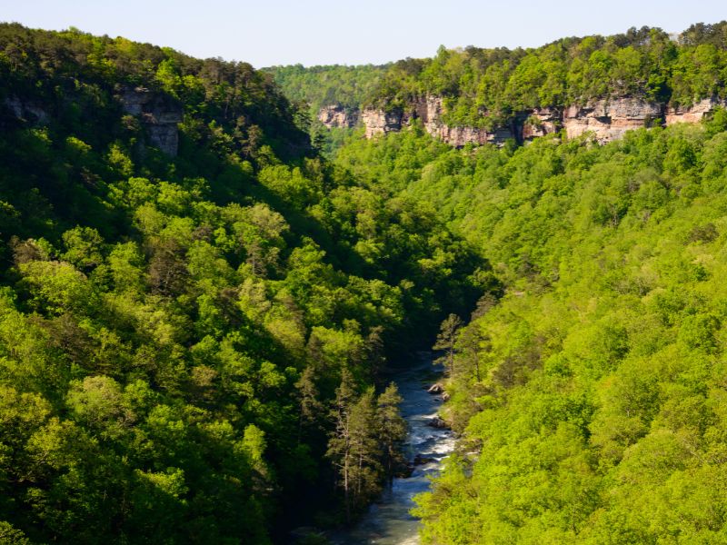 aerial of river