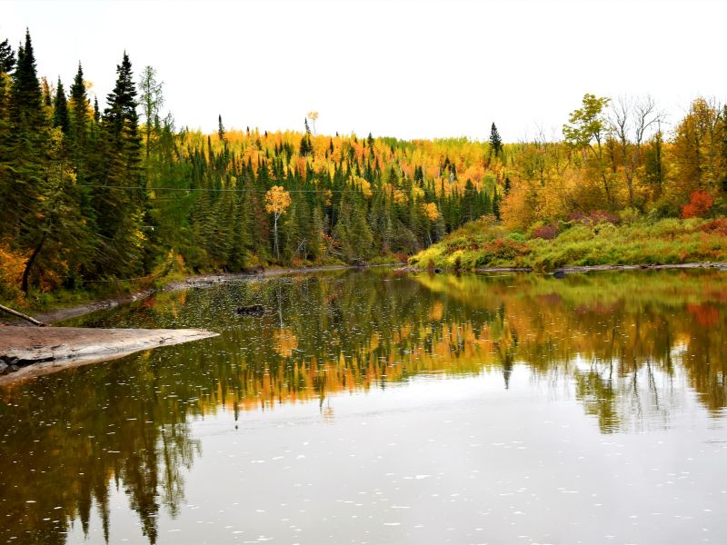 pond in fall