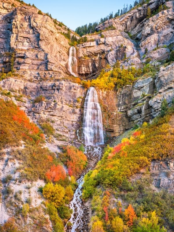 waterfall amid foliage