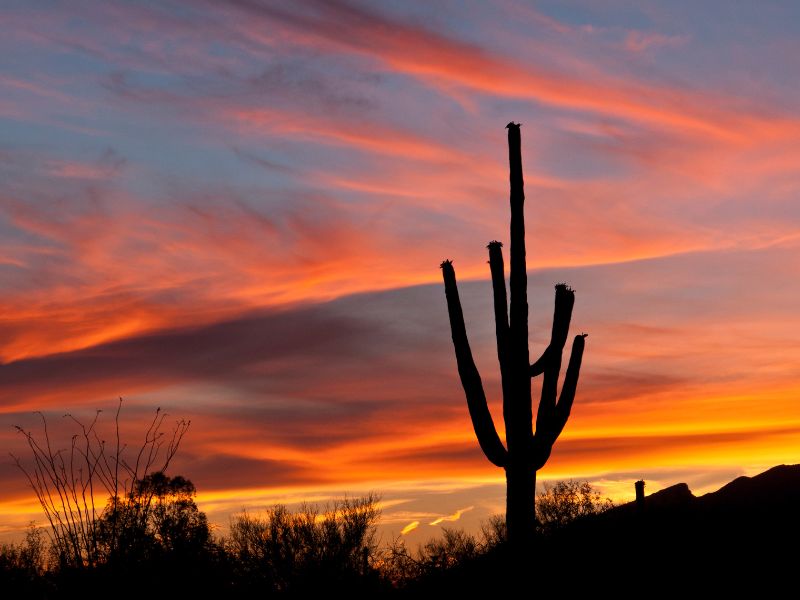 Arizona Sunset