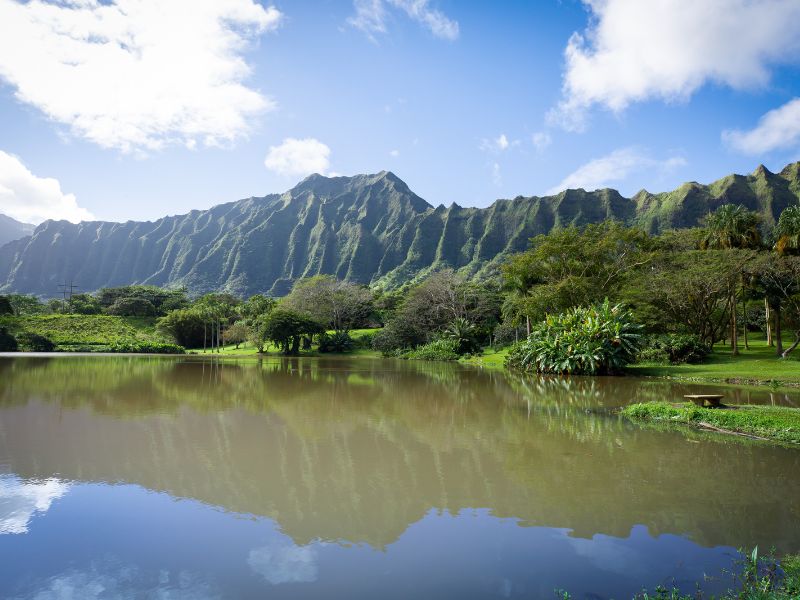 lush mountain with lake