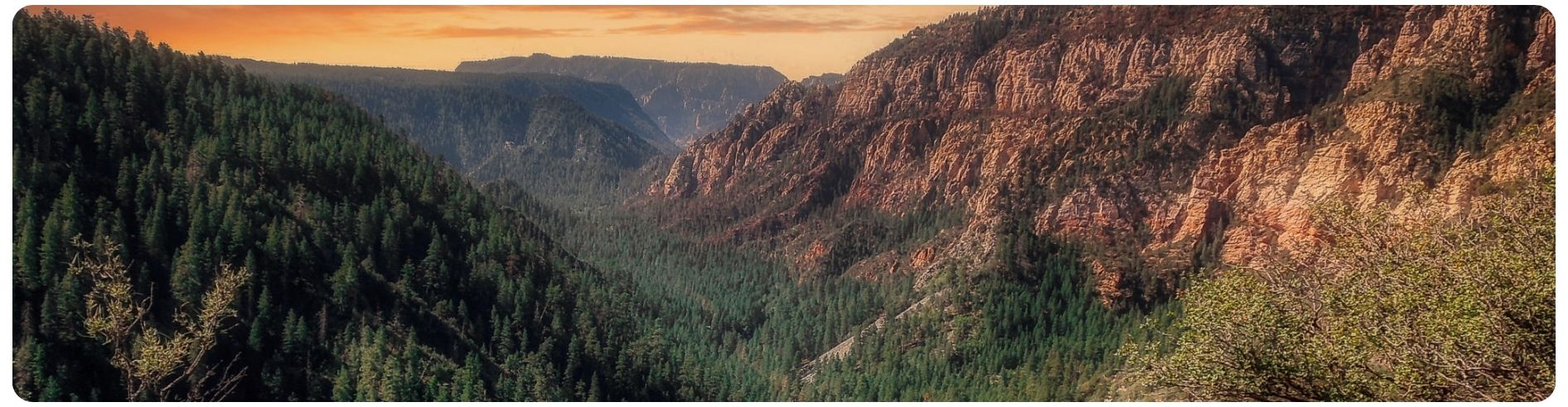 panoramic of canyon