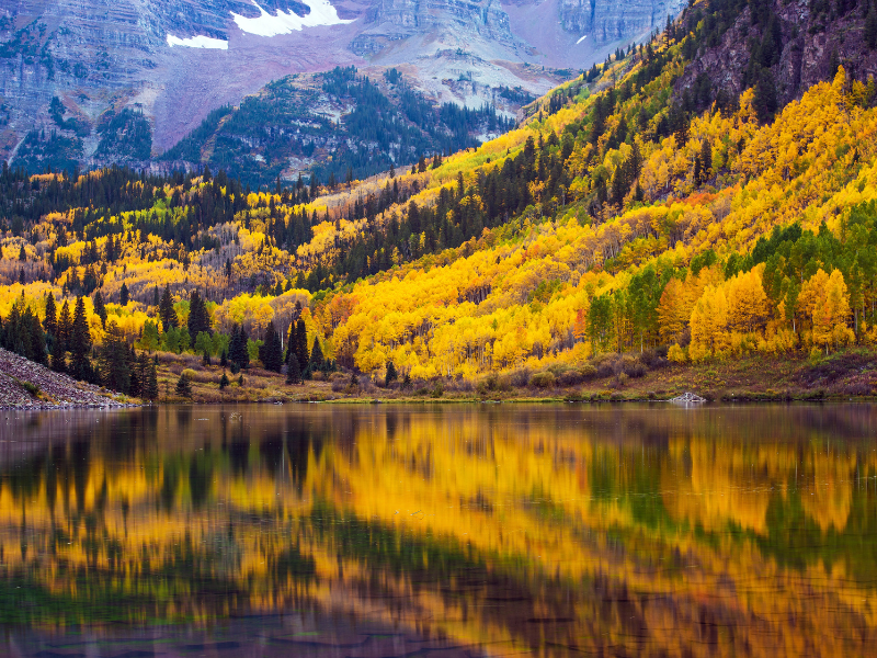 lake with foliage surrounding