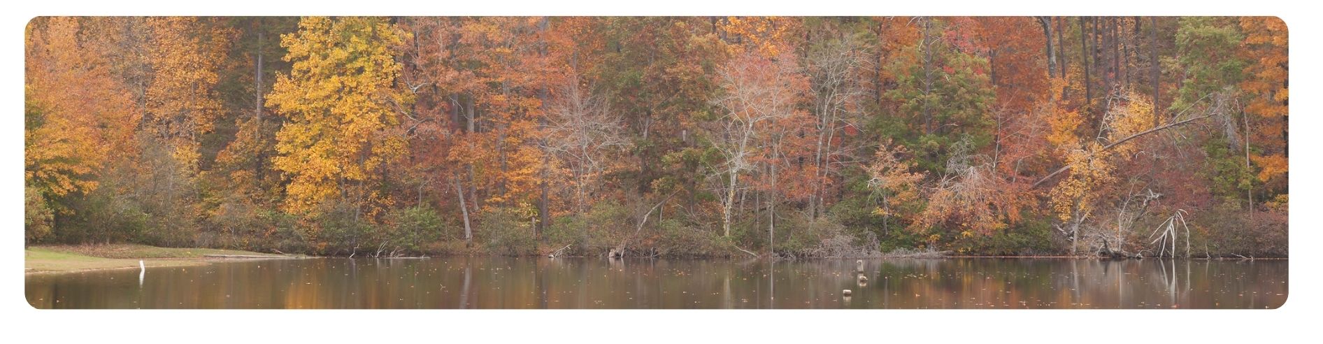 Cheaha Lake, Talladega National Forest