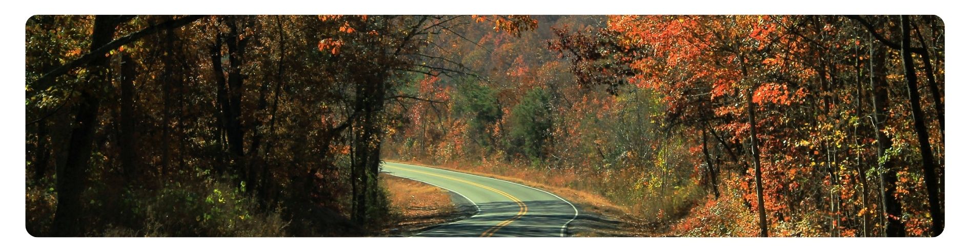 road in autumn