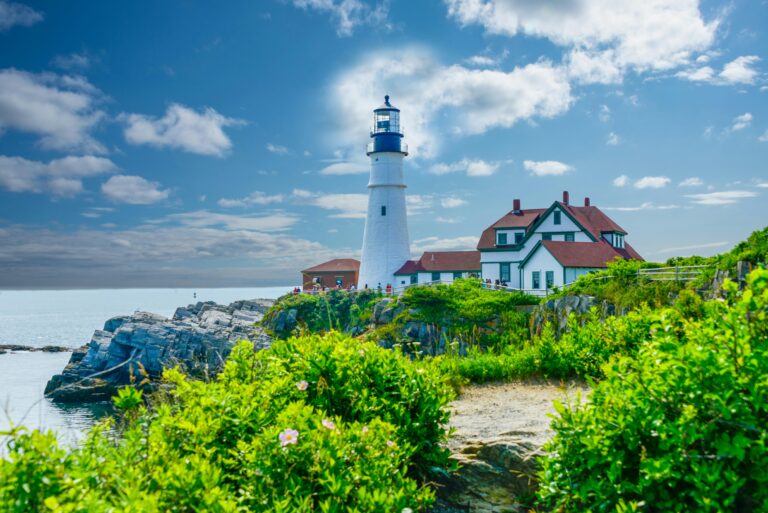 Lighthouse along lush coast