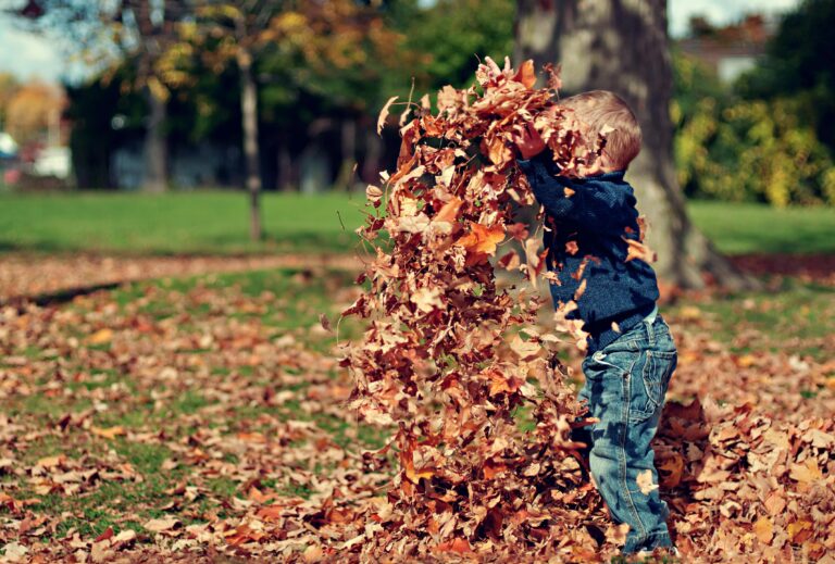 young boy playing in leaf pile