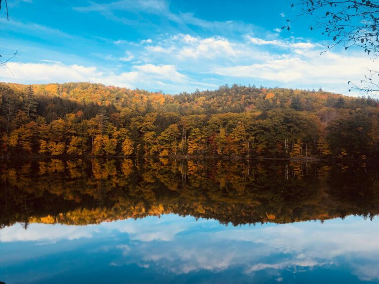 Calm Body Of Water