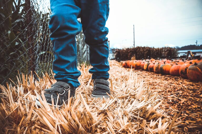 Person Walking Near Pumpkin Patch