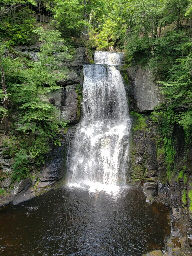 waterfall in forest